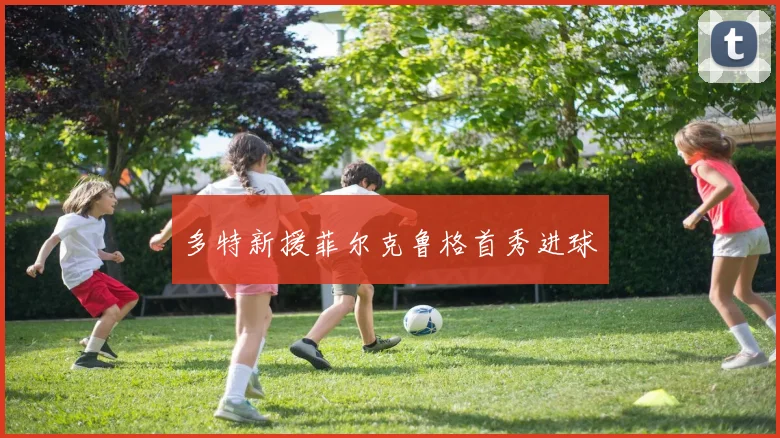 多特新援菲尔克鲁格首秀进球